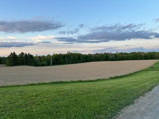 Cute 3 bedroom cabin on a farm - 4