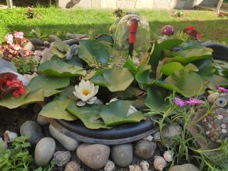 Къща за гости Снежа/ Guest house Snezha - 5