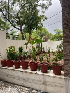 The Rawla house - 8