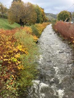 Très beau meublé lumineux - La Bourboule - 1