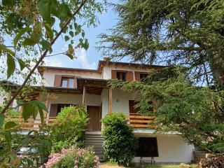 Il giardino dei pini - - 0