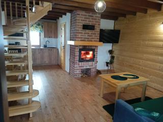 Bieszczadzki Bohater Domki 533-502-137 - 6