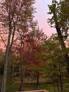 Lovely tranquil spot for family and friends to gather - Tobyhanna - 4
