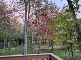 Lovely tranquil spot for family and friends to gather - Tobyhanna - 6