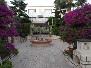 Villa Hammamet Nord - Hammamet Sud - 8