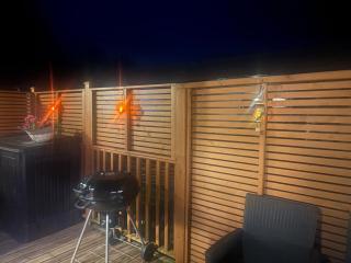 Lukes Lodge, where the fun begins, Woodland View, Hot Tub, dog friendly - Chudleigh Knighton - 1