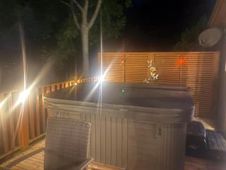 Lukes Lodge, where the fun begins, Woodland View, Hot Tub, dog friendly - Chudleigh Knighton - 2