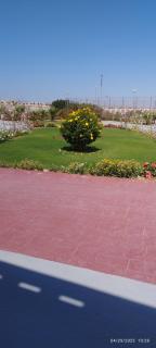Oyster bay resort and spa - Marsa Alam - 7