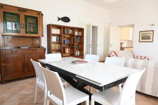 SE179 - Senigallia, elegante quadrilocale a 50m dal mare - Senigallia - 7