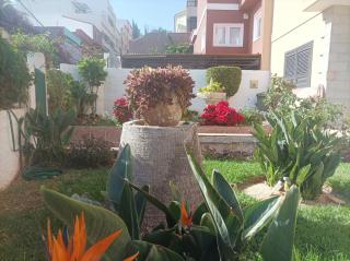 Casa Quico 5 - Santa Cruz de Tenerife - 9