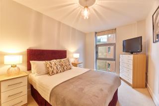 Elm - Newcastle upon Tyne - 9