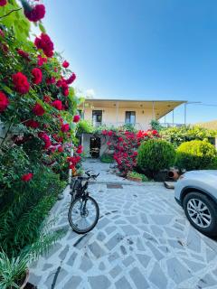 Guesthouse Mtkvari - Nak'alak'evi - 0
