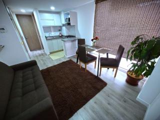 Brand-new and Elegant Apt, recently furnished - Bogotá - 9