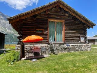Apartment Stalla Capre Isola - Maloja - 8