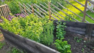 Blommastorp - Cozy cottage in the countryside - 5