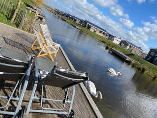 Elegantes Chalet am Wasser mit Steg Klimaanlage Ferienhaus am See Niederlande - Kampen - 8