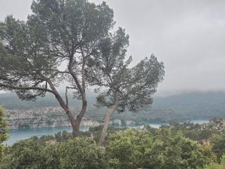 Les Oliviers Du Lac - Esparron-de-Verdon - 2