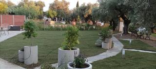 Sarakina Cottage Pelion - Kato Gatzea - 8