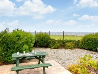 2 Bed in Aberdesach 92082 - Clynnog-fawr - 0