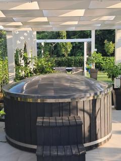 Villa Giselda con idromassaggio - Latina - 8