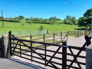5 Bed in Grindon 79543 - Grindon - 4