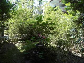 Charming Maisonette - Polykhrono - 5