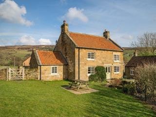 3 Bed in North York Moors National Park G0174 - Rosedale Abbey - 0