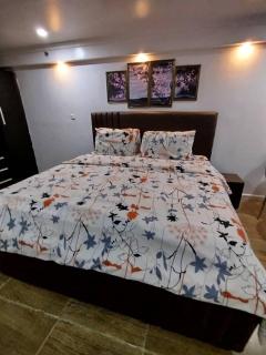 Paradise One Bedroom Apartment - Lagos - 6