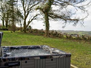 4 Bed in Llandysul 66640 - Llandysul - 9