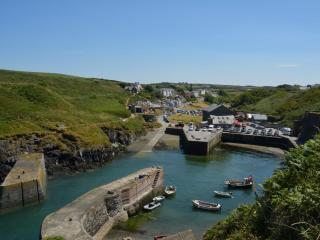 1 Bed in St Davids 62569 - Abercastle - 2