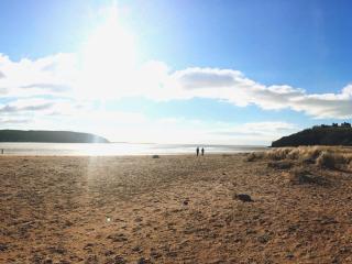1 bed in Llansteffan 74267 - Ferryside - 3