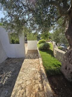 TRULLI DON VINCENZO - Padresergio - 8