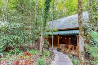 Timber Wolf Unit 2 By Avada Properties - Pigeon Forge - 6