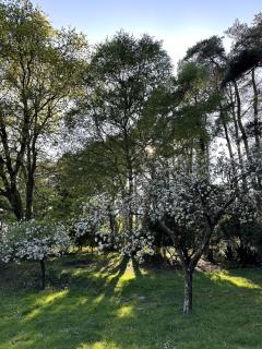 Tranquil home at Westerlands Farm, Sleeps 7, The South Downs - Selham - 6