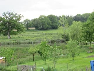 Les Puvinieres - Breuil-Barret - 5