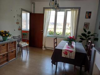 Apartment with terrace in Berchem-Sainte-Agathe - Bruxelles - 7