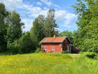 Cute and quiet countryside villa - Åmotfors - 9