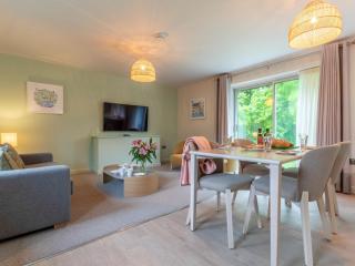 2 Bed in St. Mellion 87714 - St Mellion - 5