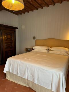 Castello Vicchiomaggio - Greve in Chianti - 9