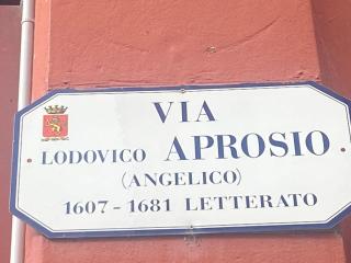 Flower Market - Ventimiglia - 9