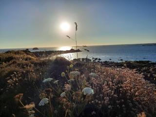 Maison de vacances à 10 minutes des plages de Porspoder - 6