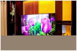 2 Bedroom Green Yellow luxury 5549 Makati 300Mb swim - Manila - 4