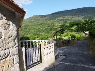 Casa do Corgo - Bubaces - 0