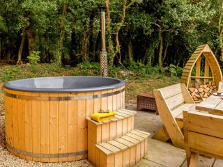 2 Bed in Widemouth Bay 87766 - Week Saint Mary - 9