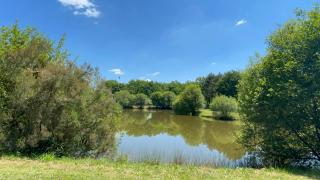 Nouveau Vacance nature au calme - La Boissière-de-Montaigu - 6