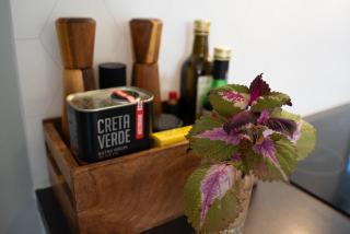 Sunny, Family-Friendly Near Zoo & Local Beaches - 4