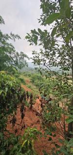 Mrudgandh-Soul of the Earth - Bhor - 2