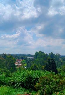 Flat in Ruaka - Muchatha - 6