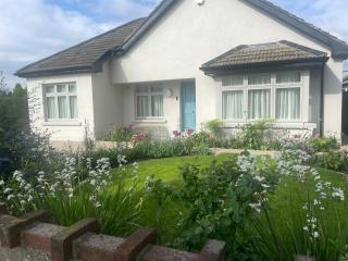 Verbena - Blackrock - 0