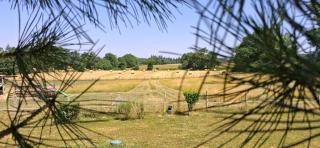 Logement tout confort - Oradour-sur-Glane - 6